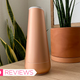 Image for article titled Quip's New Mouthwash Dispenser Is Lovely and Also a Little Unnecessary